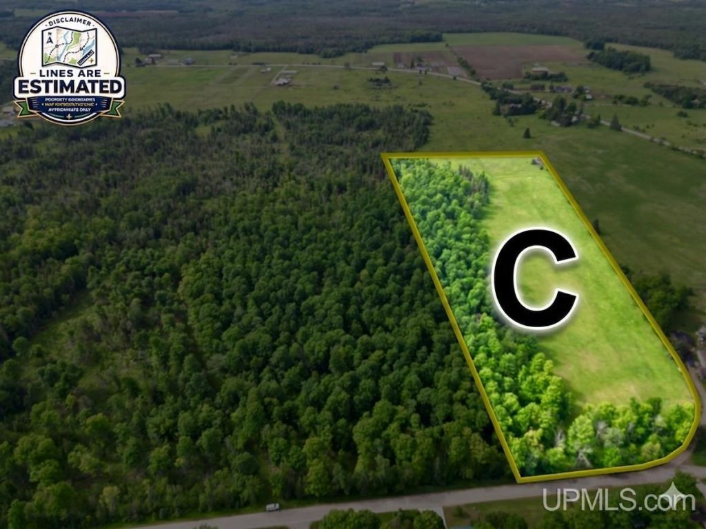Tbd River J.5 Parcel C Lane, Cornell Twp, MI 49818 Main Photo