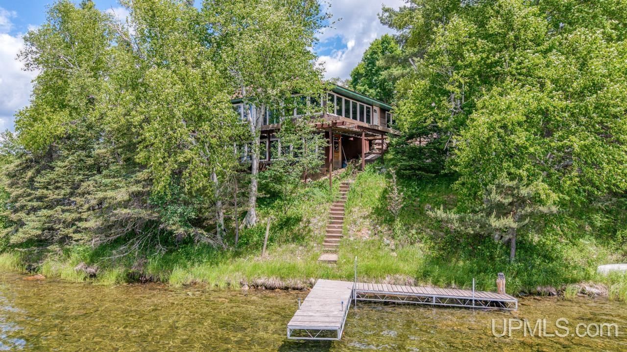 248 Lake Ellen Road, Mansfield Twp, MI 49920 Main Photo
