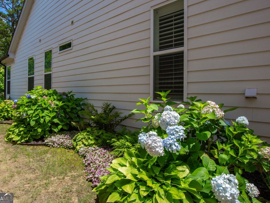 Property Image 55