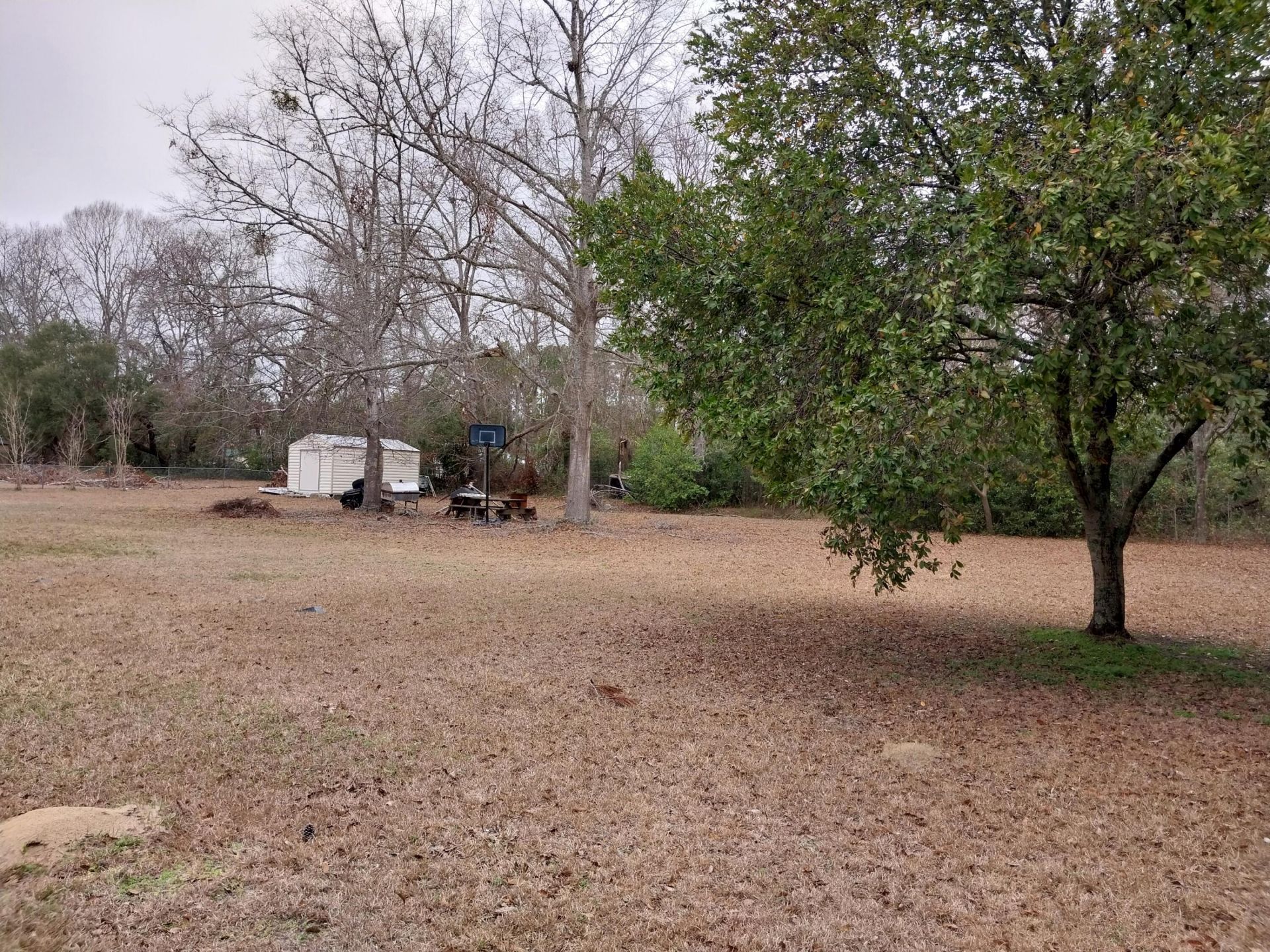 125 Silver Lane Photo 7