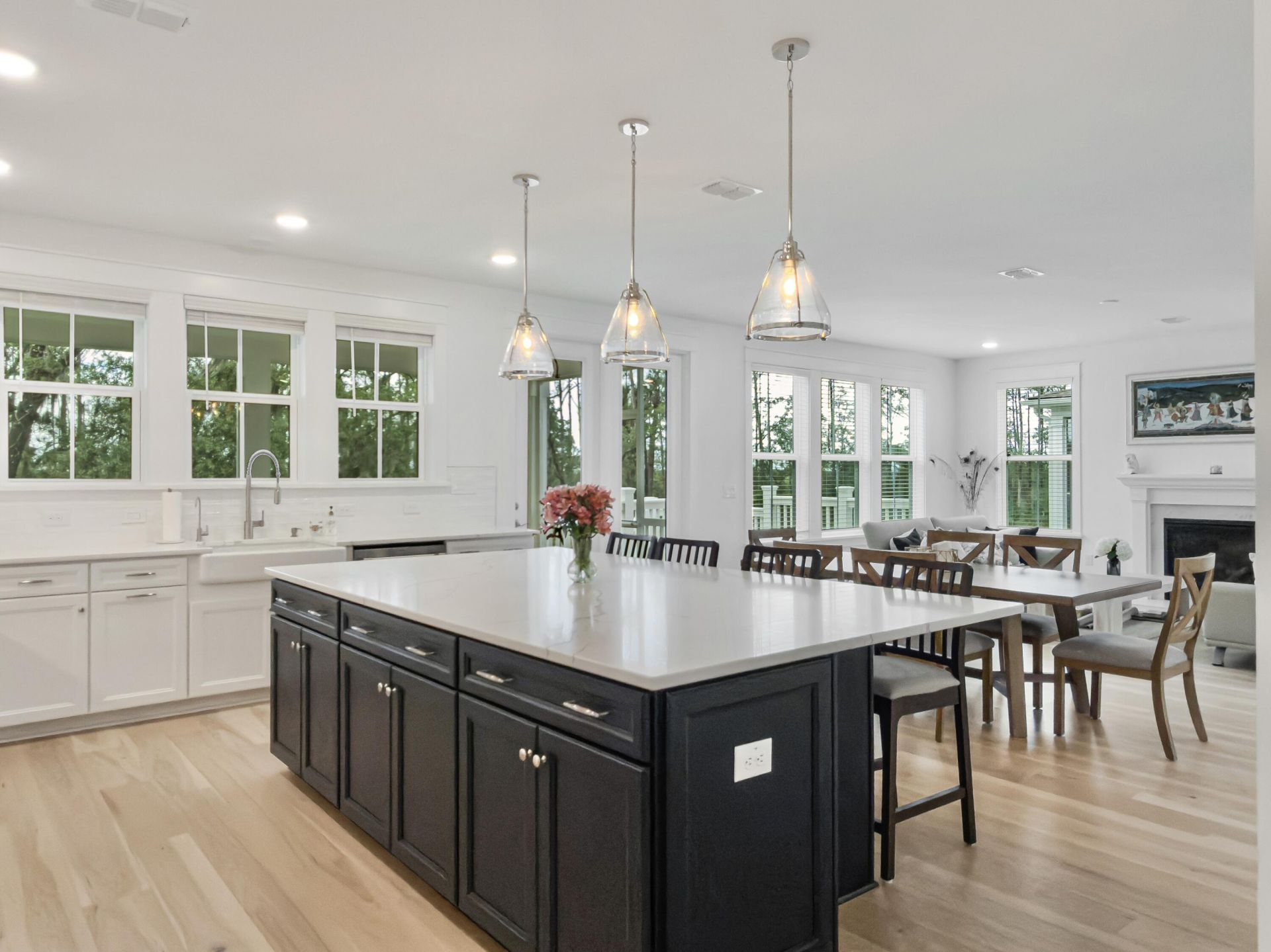 2276 Minifarm Way Photo 48