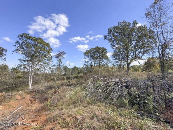 County Road 154 , Tillatoba, MS 38961
