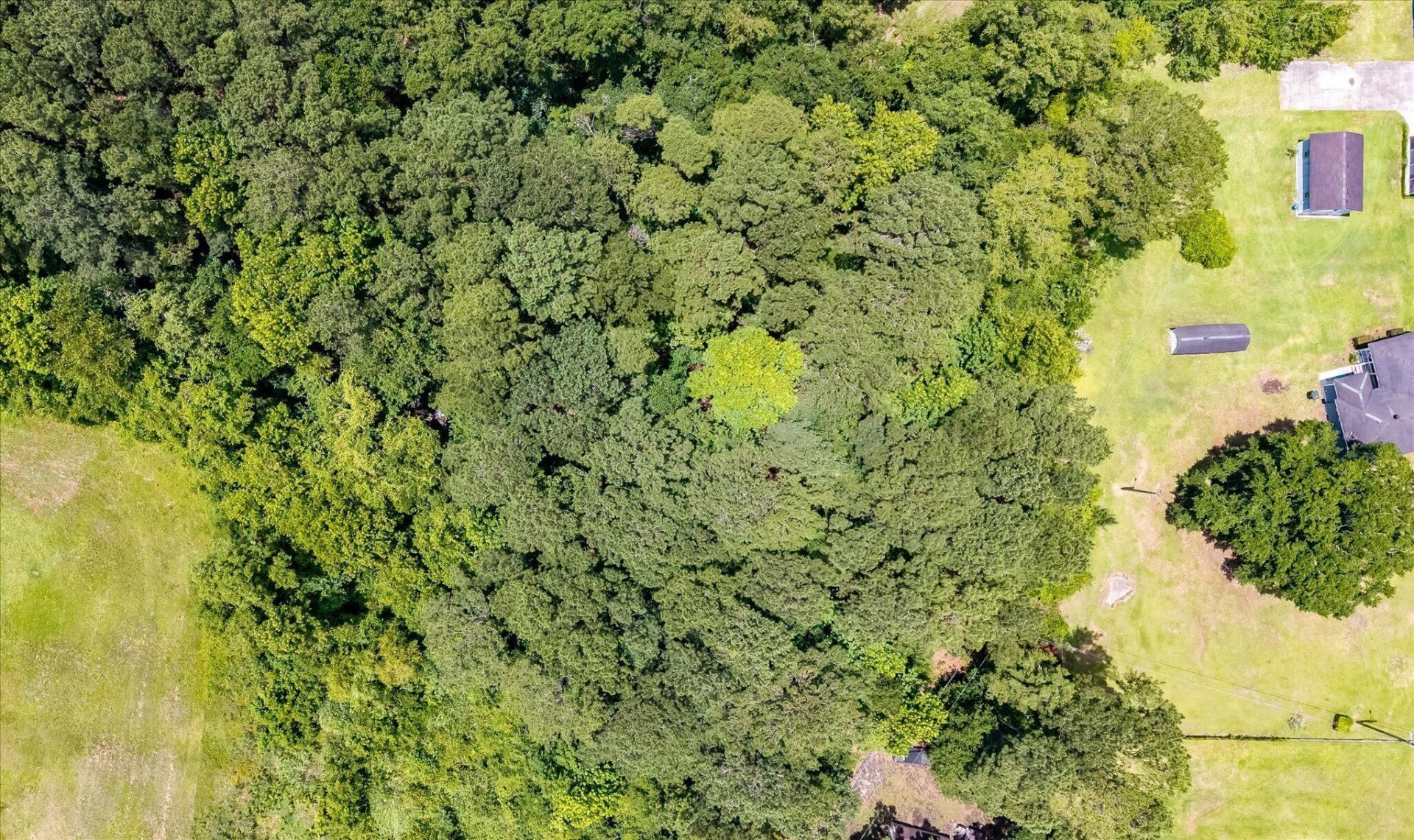 0 Acres Drive  Photo 32
