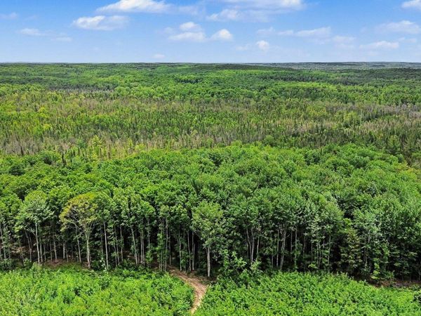 Third Road, Kalkaska, MI 49646