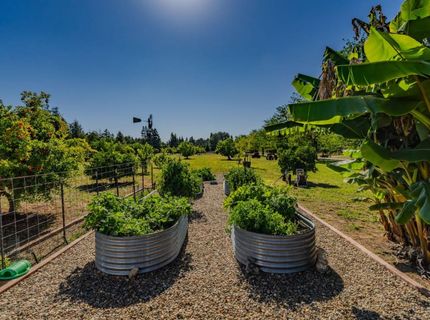 9069 Bader Rd, Elk Grove, CA 95624 Photo