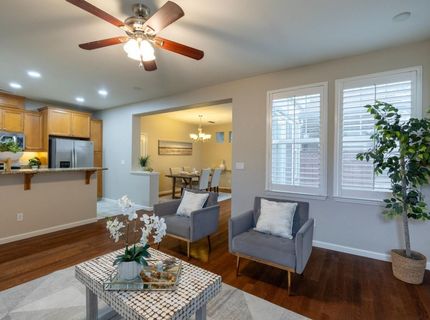 171 W Santa Cruz Way, Mountain House, CA 95391 Photo