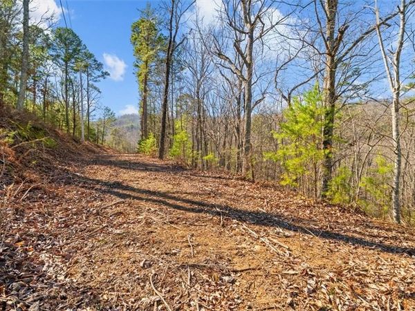 000 Deerfield Lane , Calhoun, GA 30701