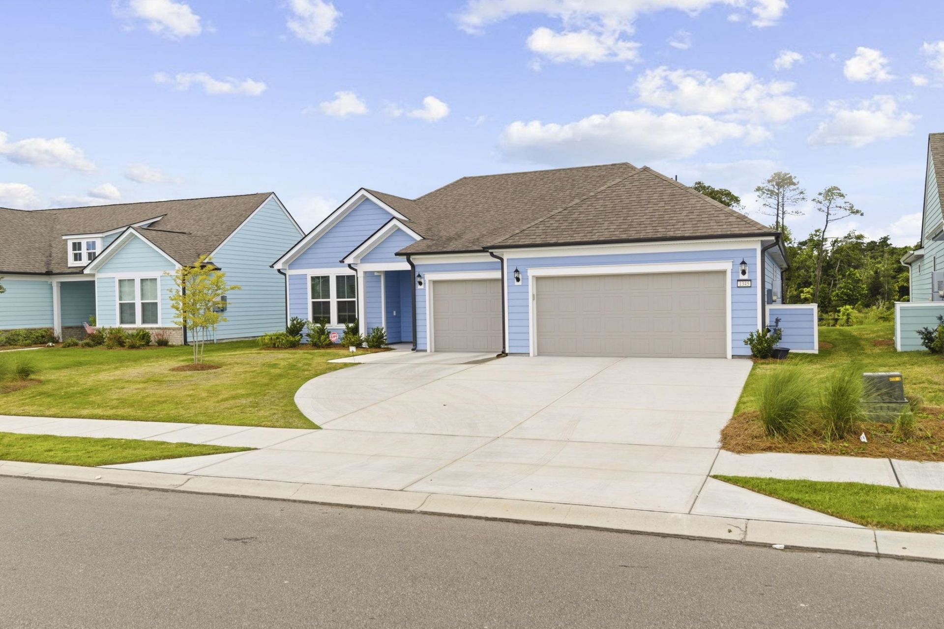 1345 Crested Iris Way Photo 14