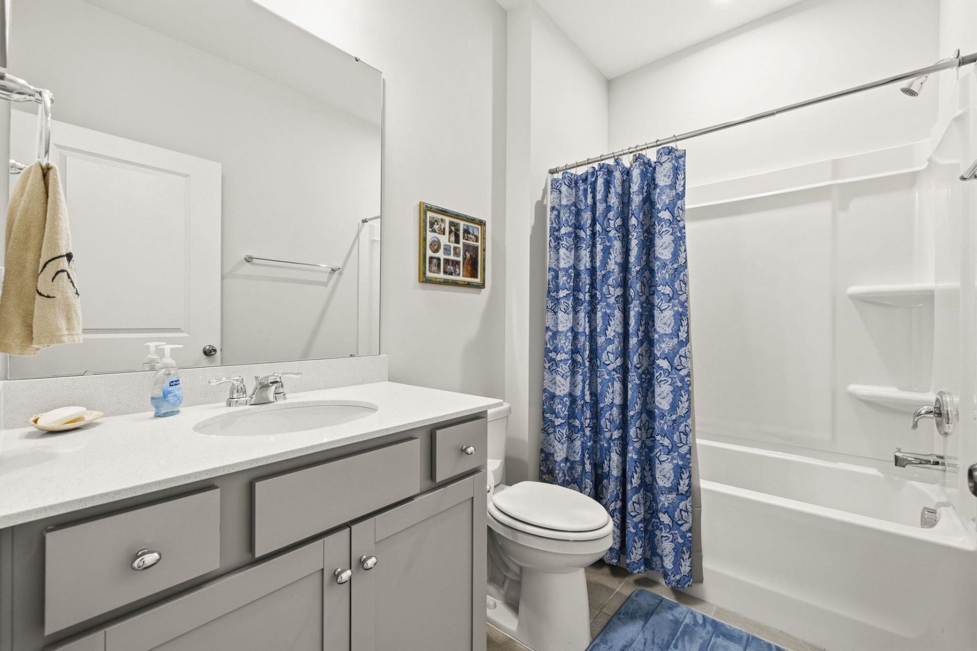 1345 Crested Iris Way Photo 33