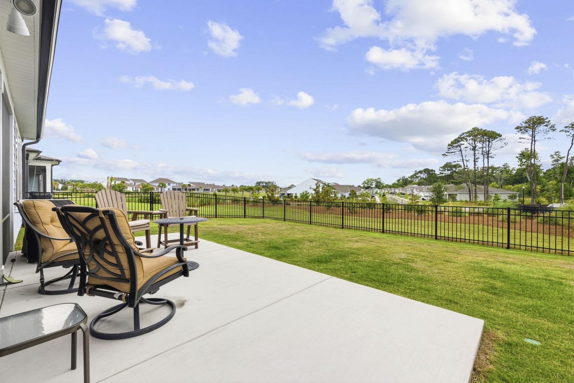 1345 Crested Iris Way Photo 40