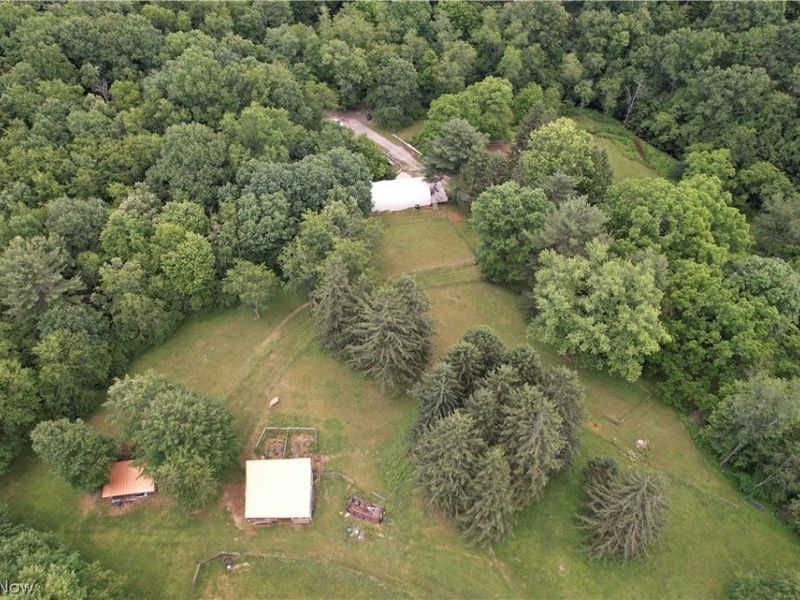 11811 Gaston Road, Negley, OH 44441 Photo 37