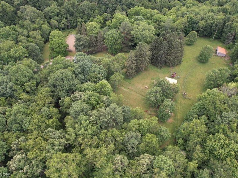 11811 Gaston Road, Negley, OH 44441 Photo 38