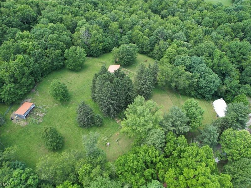 11811 Gaston Road, Negley, OH 44441 Photo 4