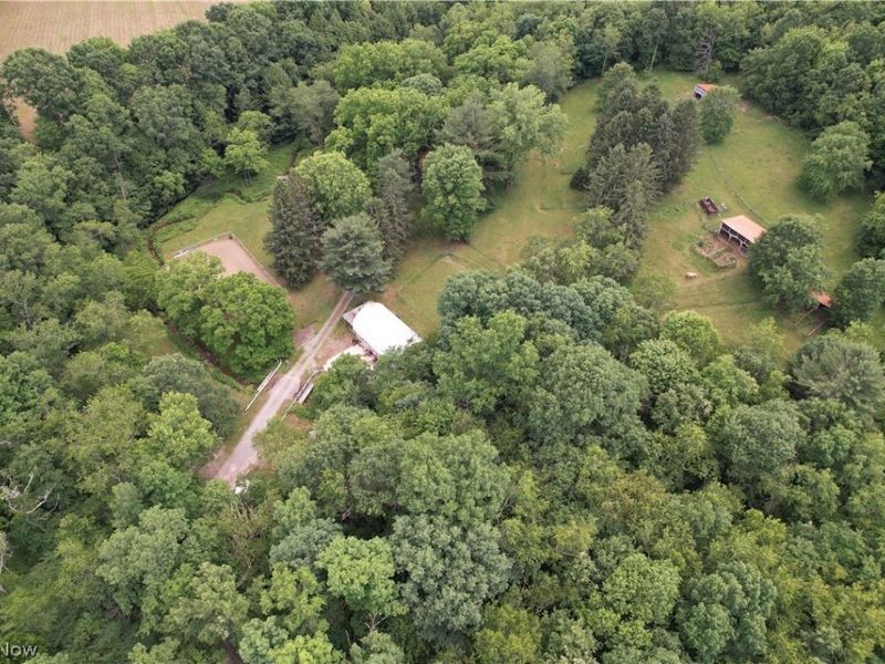 11811 Gaston Road, Negley, OH 44441 Photo 6