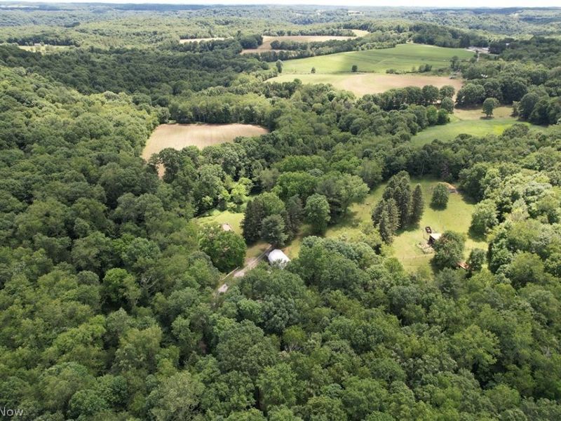 11811 Gaston Road, Negley, OH 44441 Photo 2