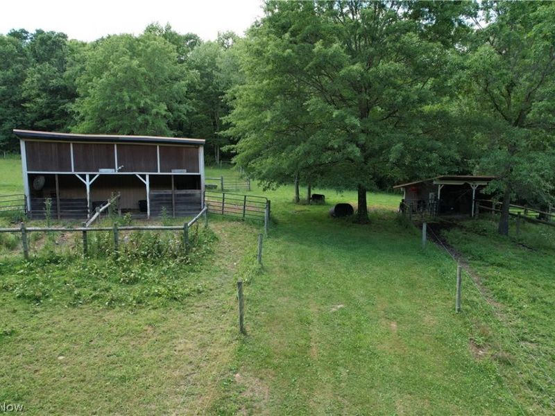 11811 Gaston Road, Negley, OH 44441 Photo 39