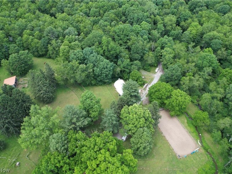 11811 Gaston Road, Negley, OH 44441 Photo 4
