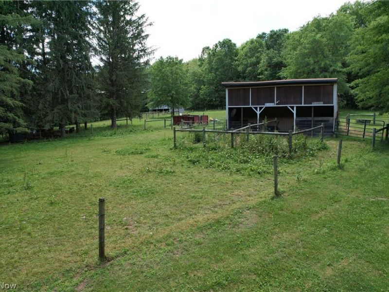 11811 Gaston Road, Negley, OH 44441 Photo 40