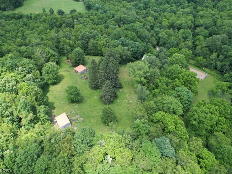 11811 Gaston Road, Negley, OH 44441 Photo 5
