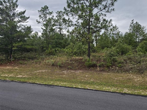 Lot 3 Deadening Road , Chipley, FL 32428