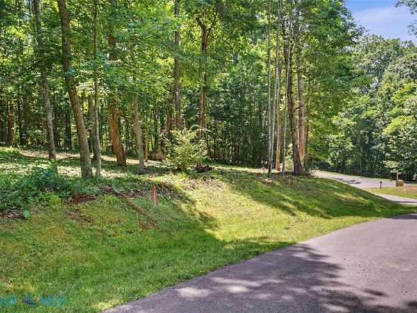 Lot 50 Donald Ross , Hot Springs, VA 24445