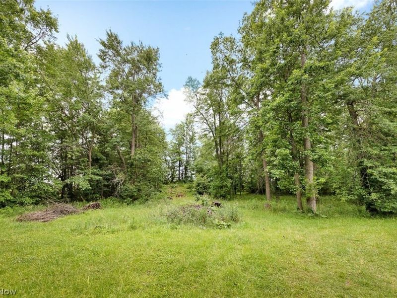 8330 Spieth Road, Litchfield, OH 44253 Photo 35