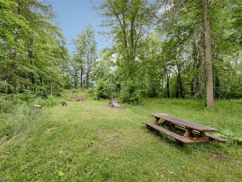 8330 Spieth Road, Litchfield, OH 44253 Photo 38