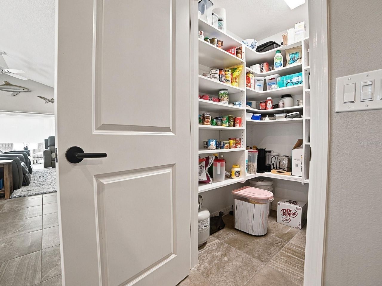 3394 Randi Road, The Villages, FL 32163 Photo