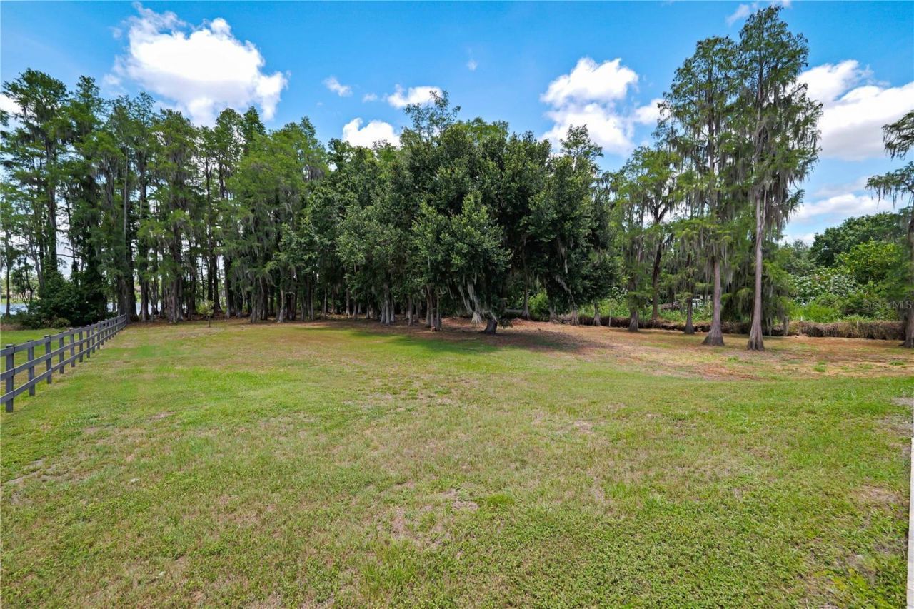 3317 Crenshaw Lake Road, Lutz, FL 33548 Photo