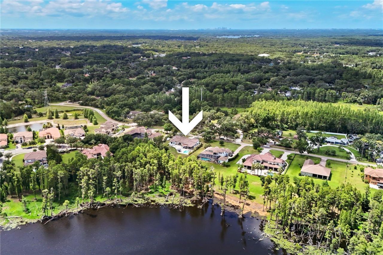 3317 Crenshaw Lake Road, Lutz, FL 33548 Photo