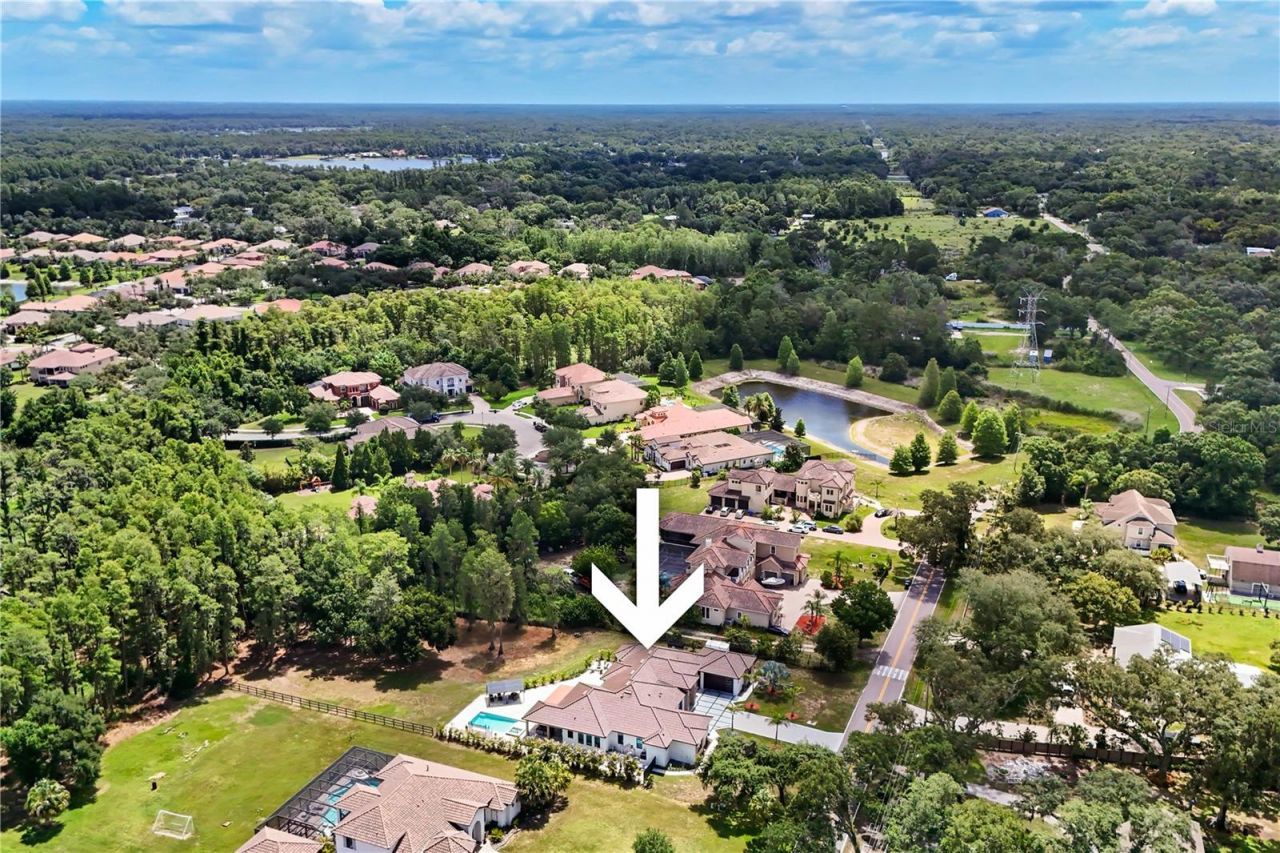 3317 Crenshaw Lake Road, Lutz, FL 33548 Photo