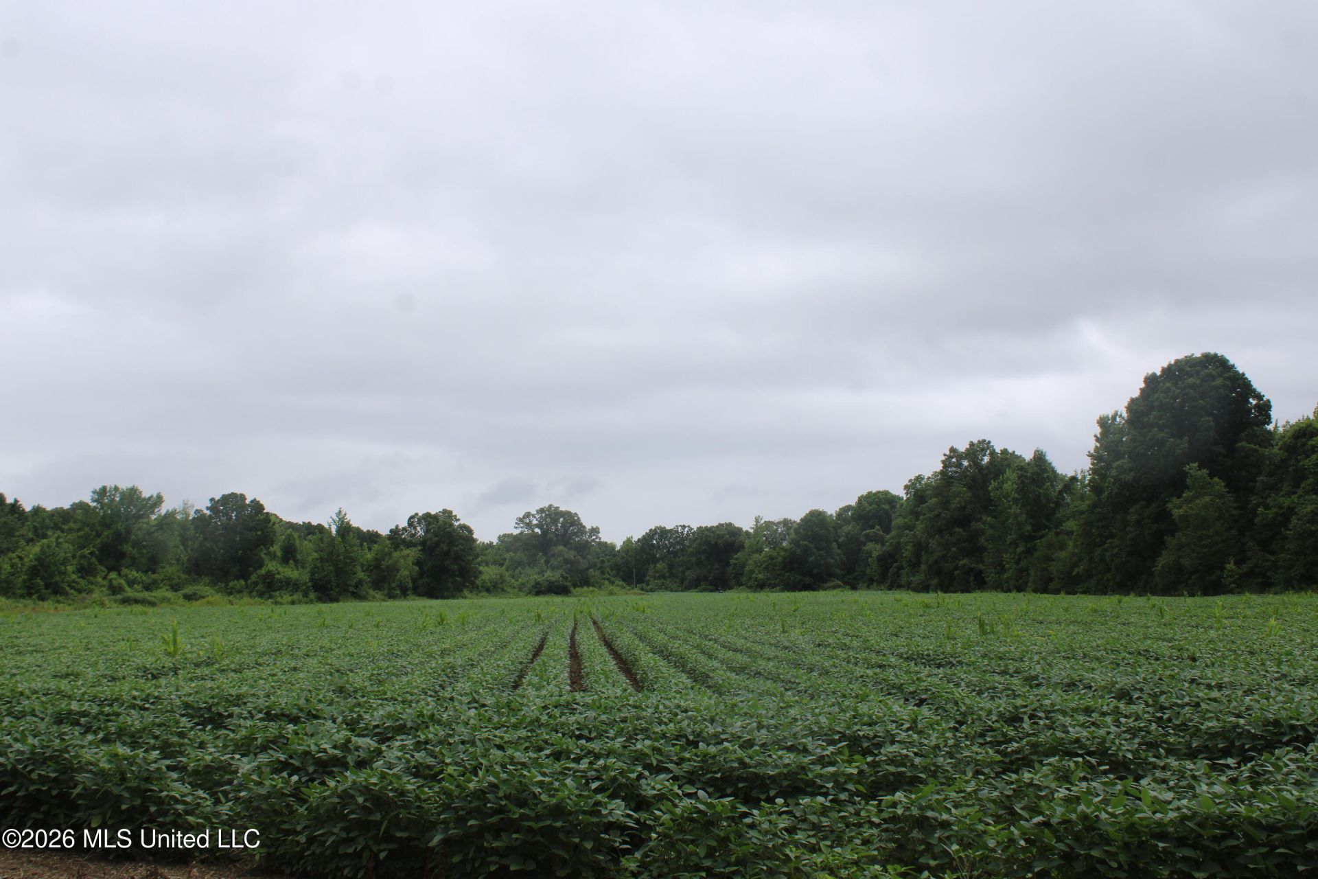 1500 Allen Corner Road, Lamar, MS 38642 Main Photo
