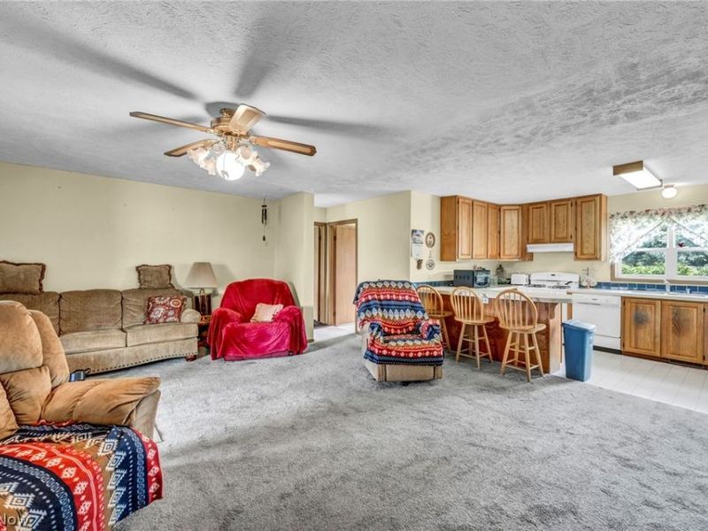 461 US Highway 224, Sullivan, OH 44880 Photo 10