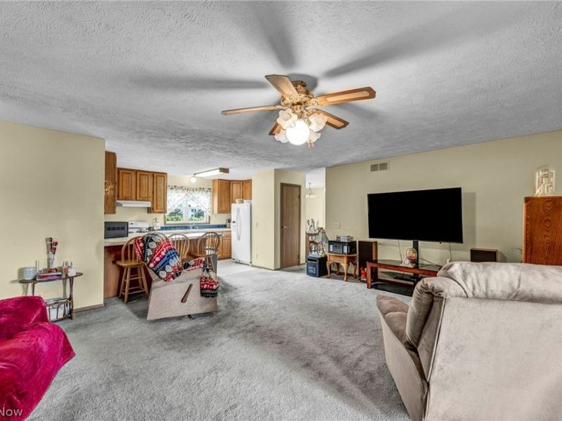 461 US Highway 224, Sullivan, OH 44880 Photo 9