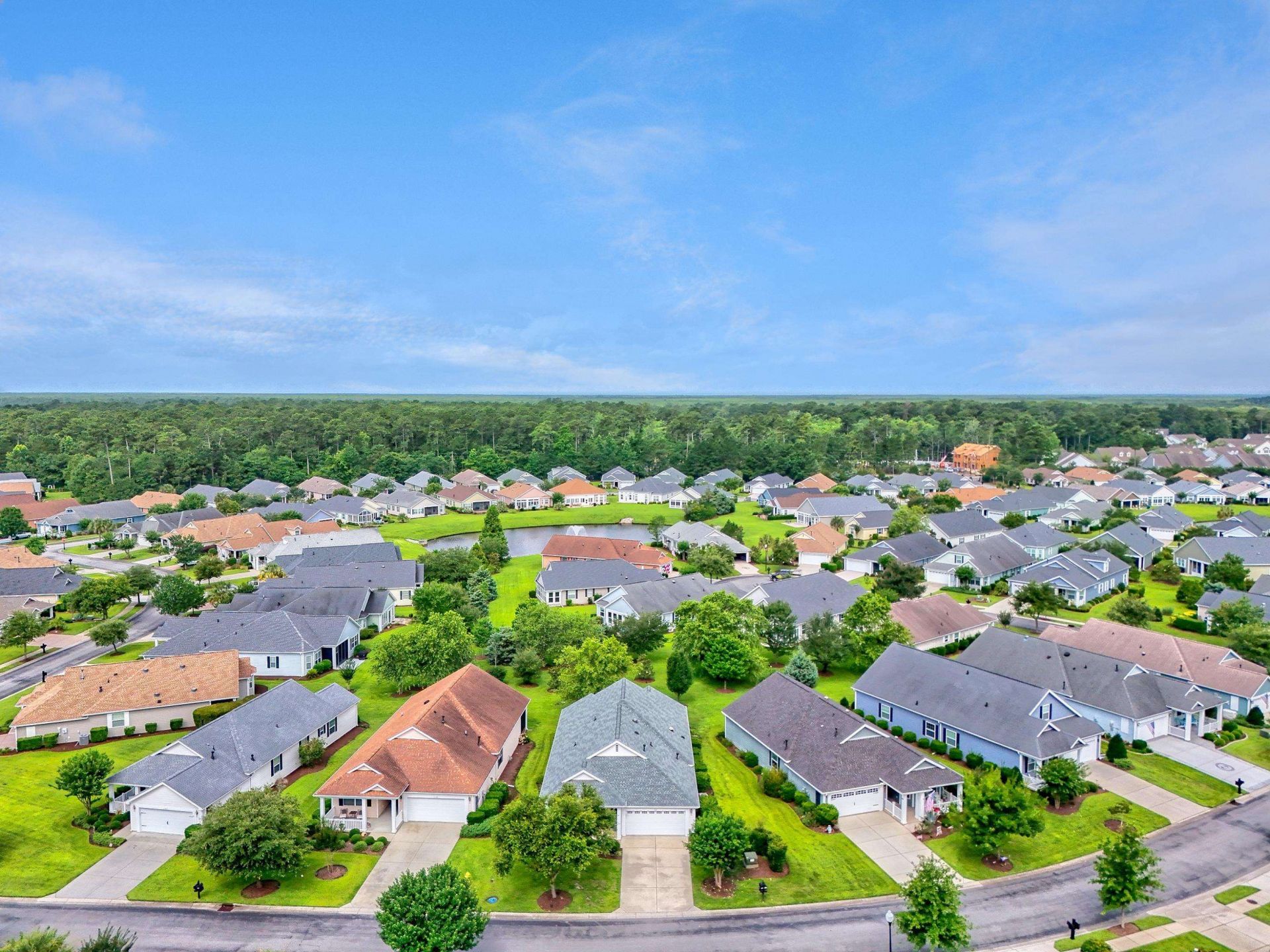1165 Kiawah Loop  Photo 39
