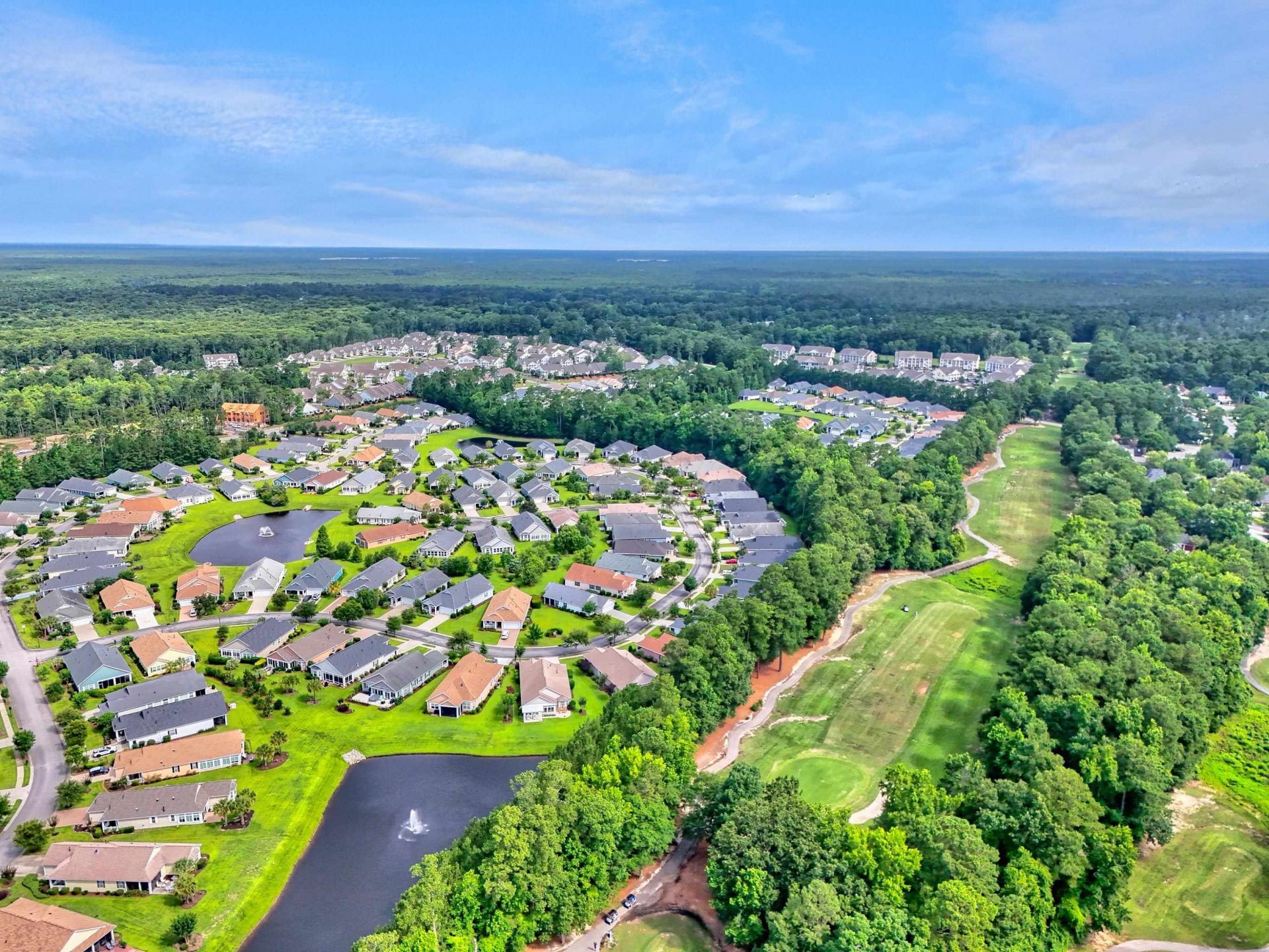 1165 Kiawah Loop  Photo 43