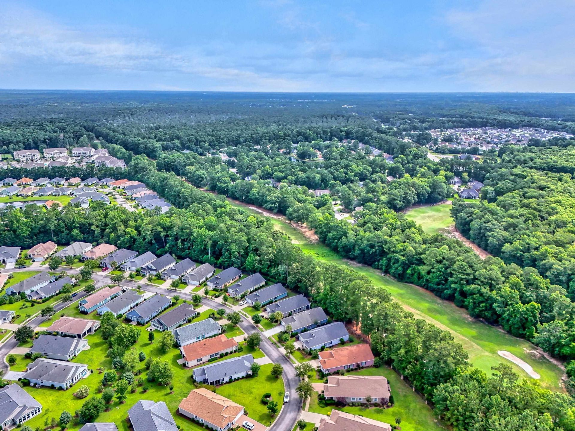 1165 Kiawah Loop  Photo 44