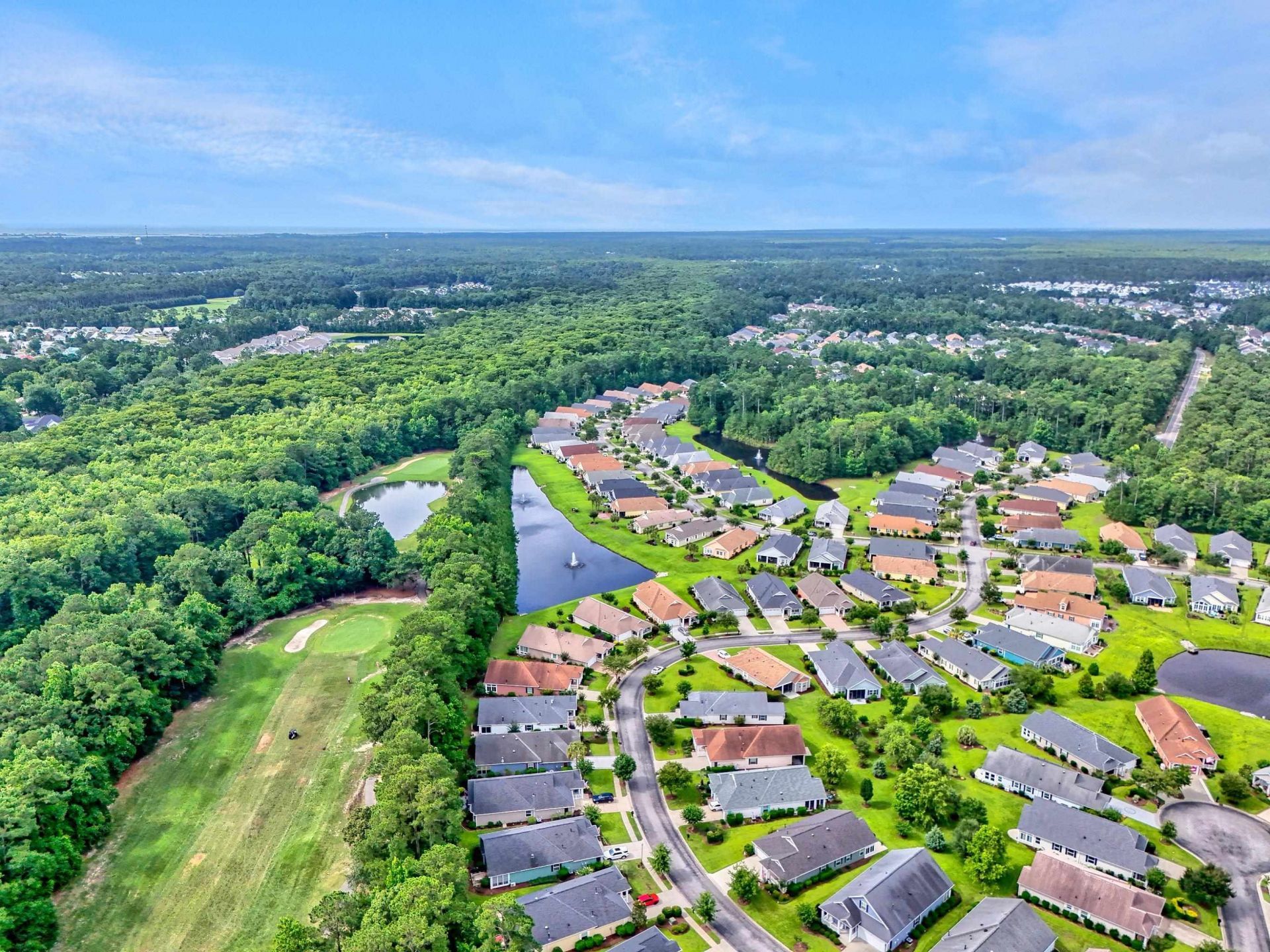 1165 Kiawah Loop  Photo 46