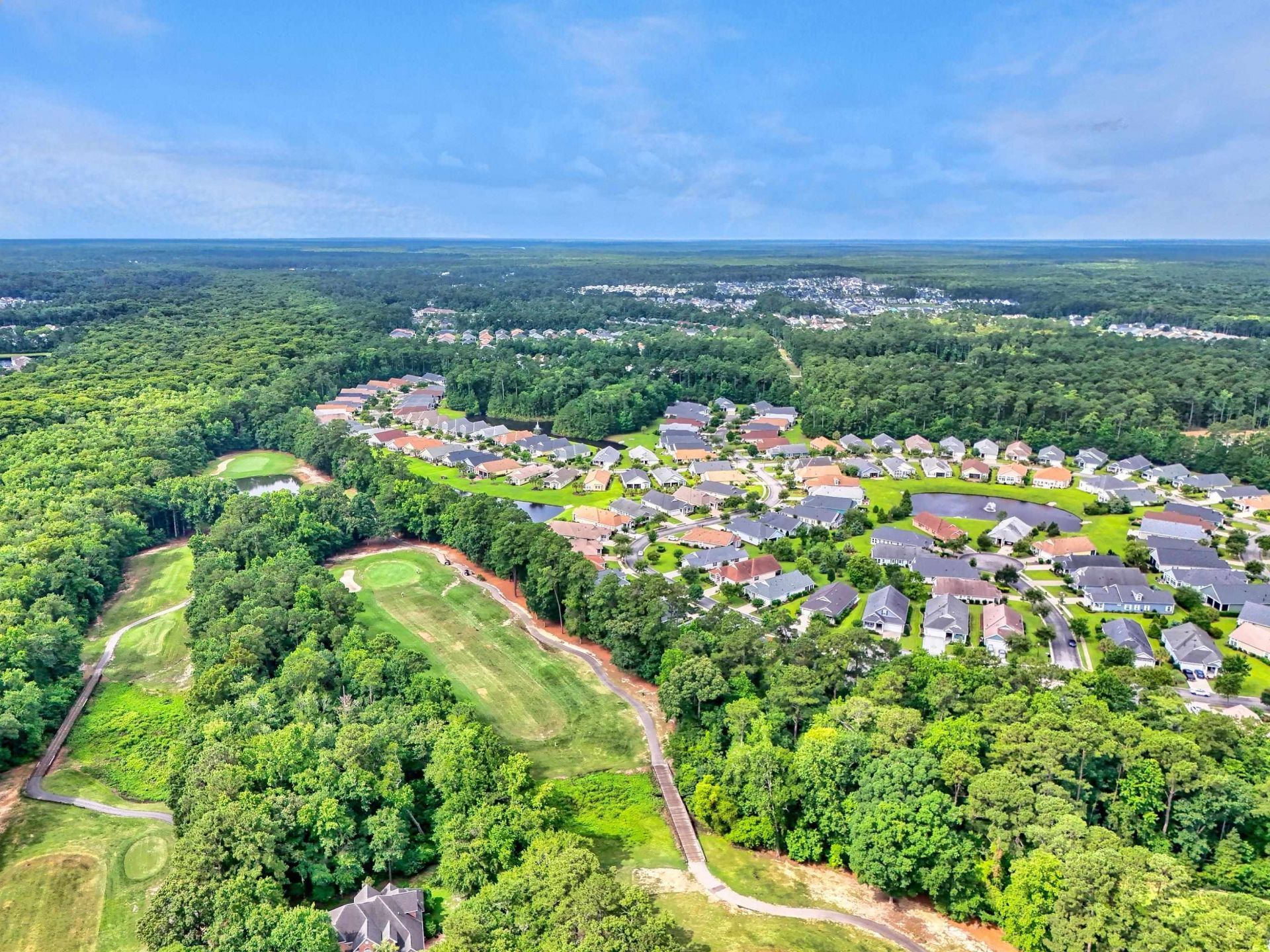 1165 Kiawah Loop  Photo 47