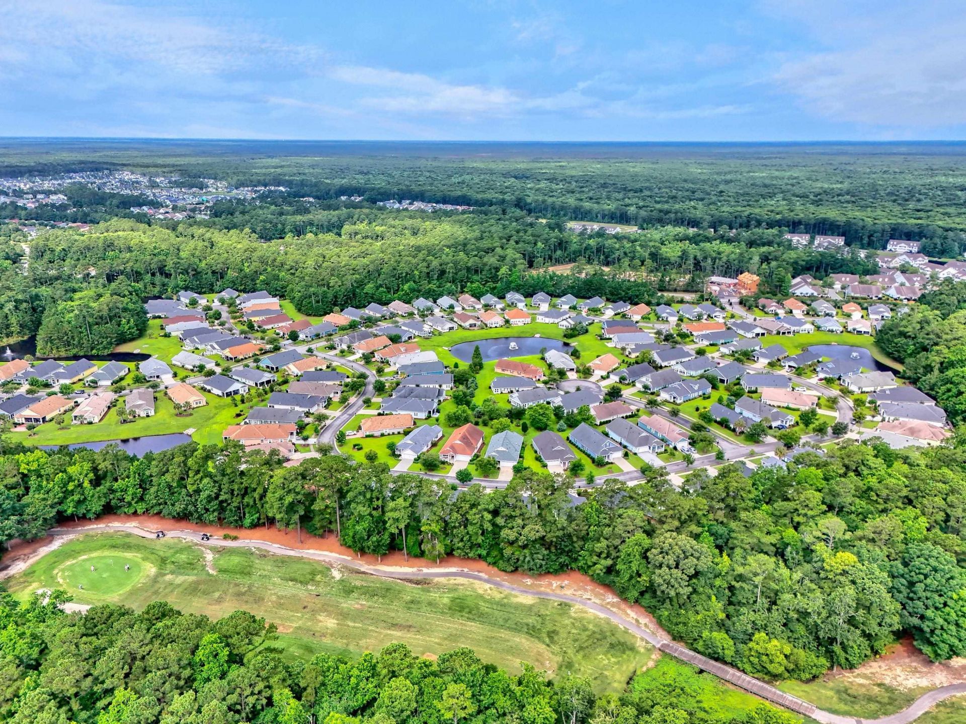 1165 Kiawah Loop  Photo 48