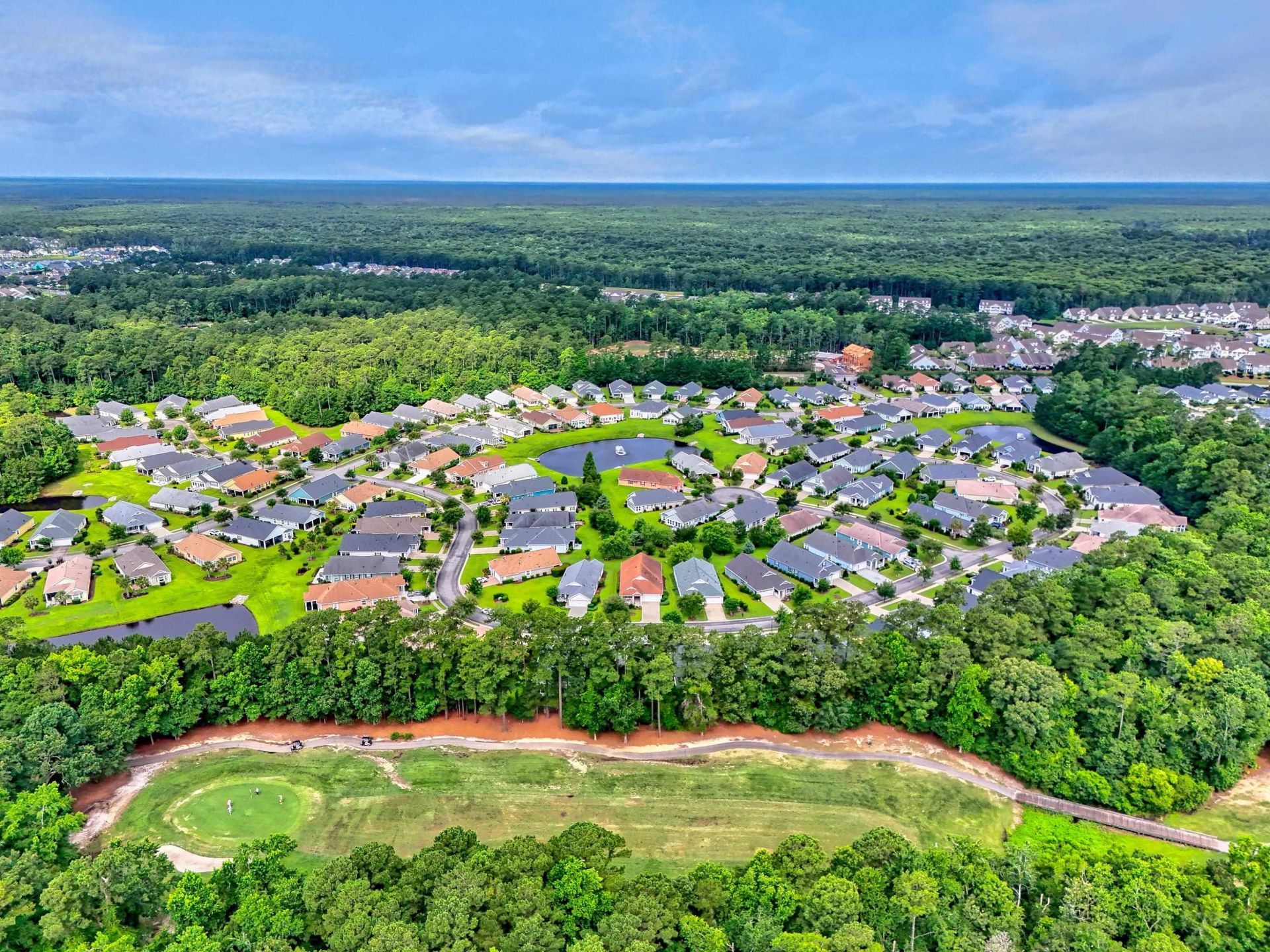 1165 Kiawah Loop  Photo 49