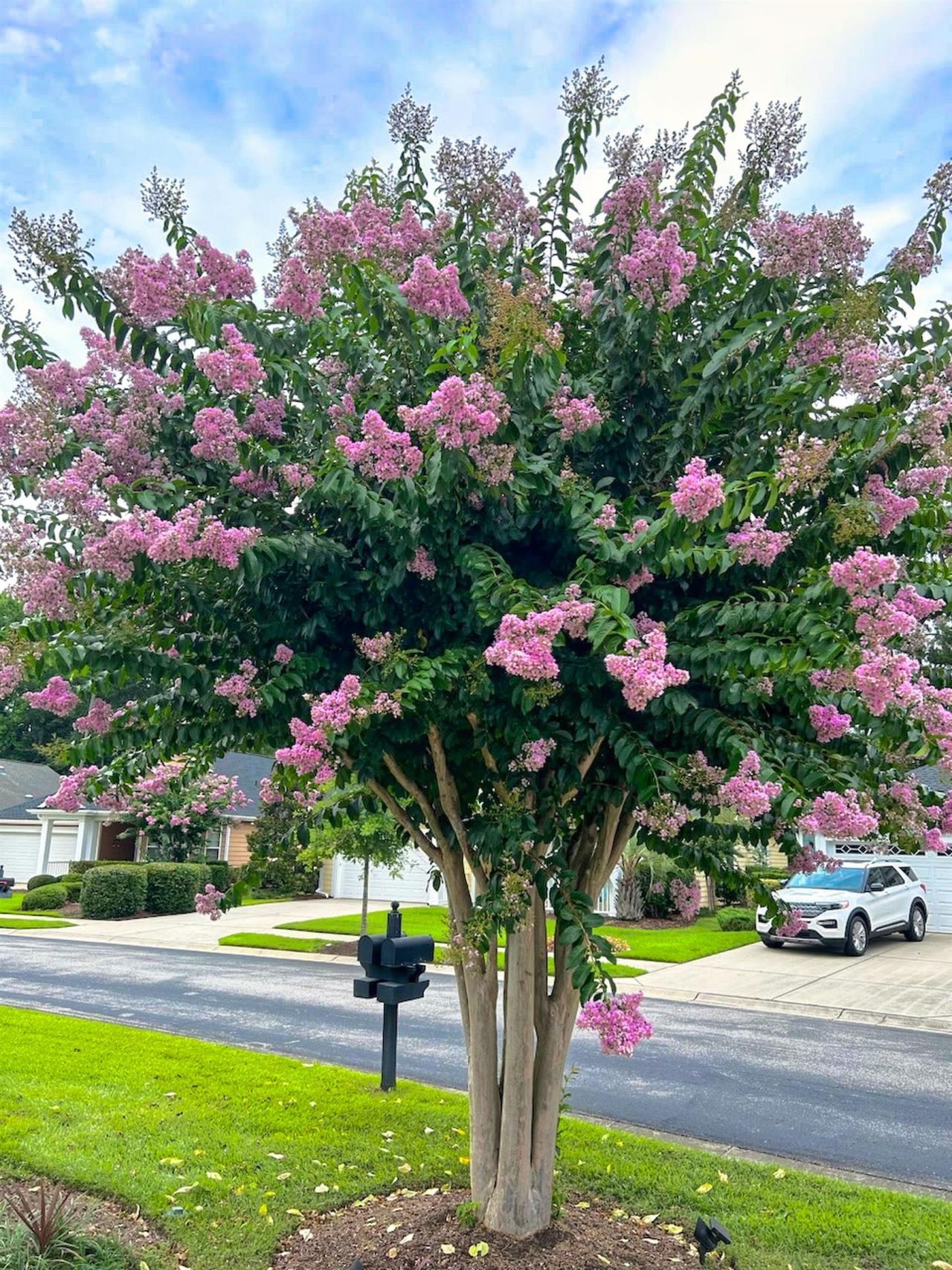 1165 Kiawah Loop  Photo 61
