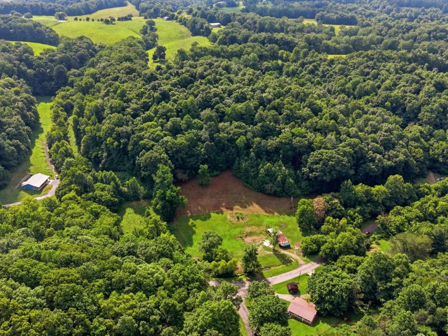 Property Image 8