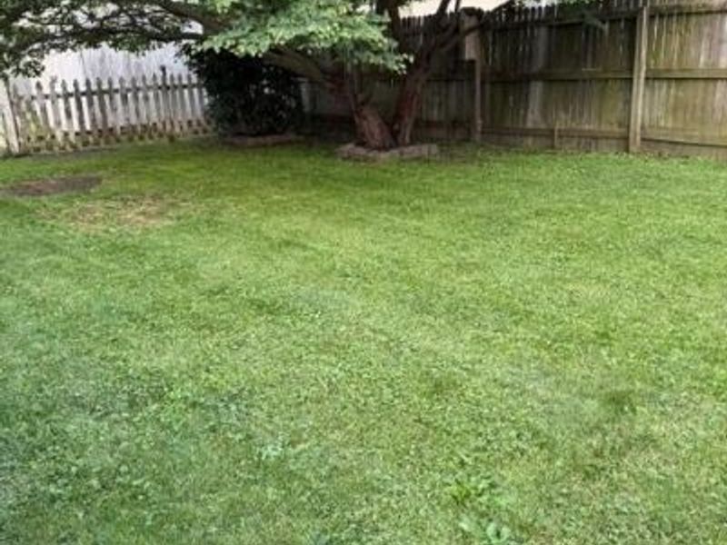179 Tully Street, Marion, OH 43302 Photo 10