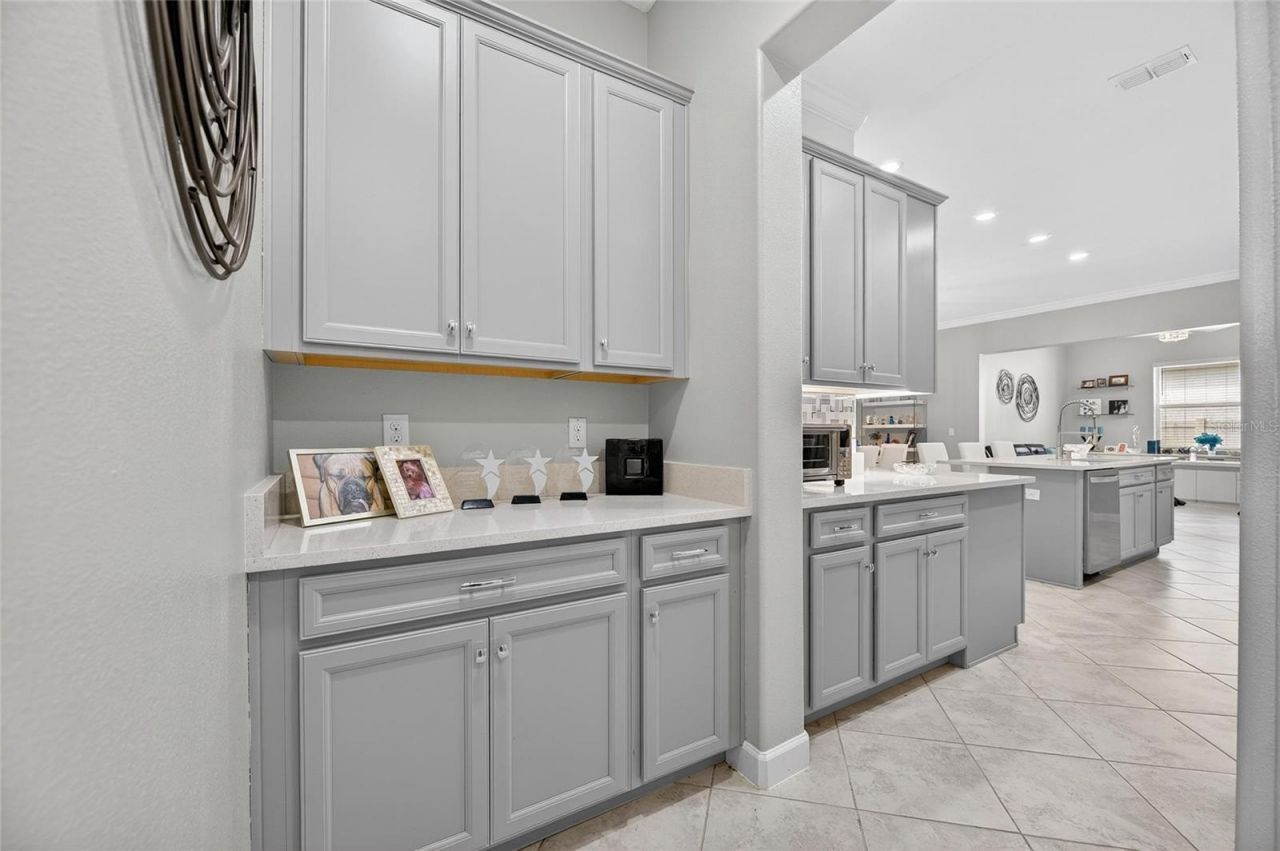 16805 Banner Shell Place, Wimauma, FL 33598 Photo