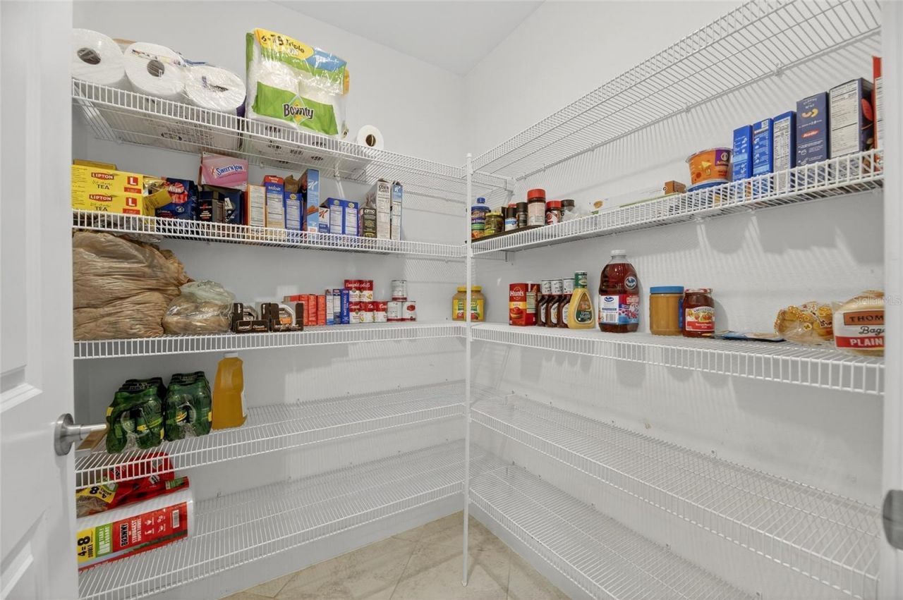 16805 Banner Shell Place, Wimauma, FL 33598 Photo