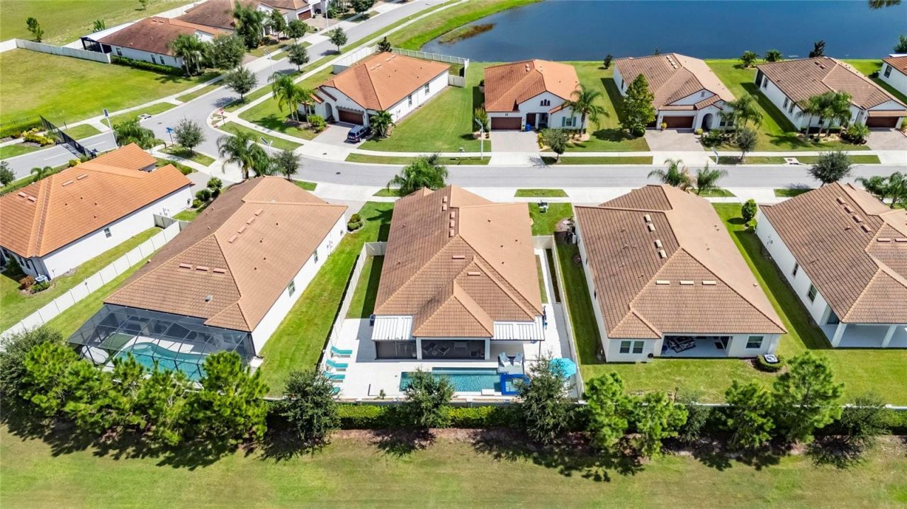16805 Banner Shell Place, Wimauma, FL 33598 Photo