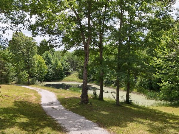 350 Rector Lane, Helenwood, TN 37755