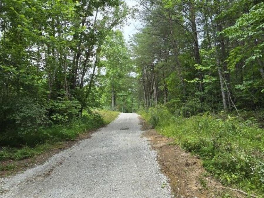Property Image 19