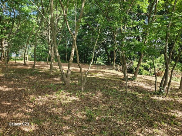 12269 Coral Road, Coral, MI 49322